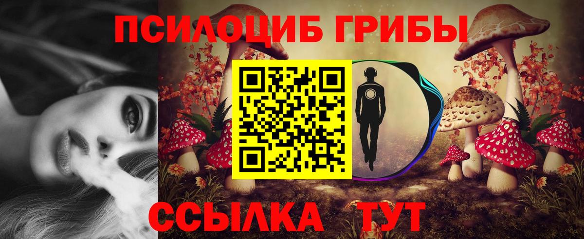 Кострома  Псилоцибиновые грибы мухоморы  Псилоцибиновые грибы Magic Shrooms  Вход с VPN 