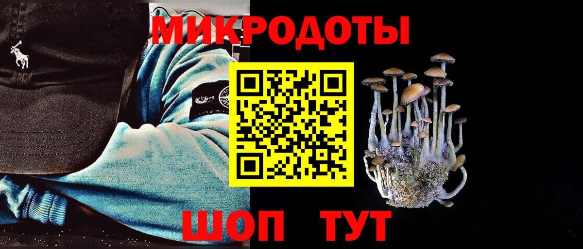 Галлюциногенные грибы Psilocybine cubensis Кострома